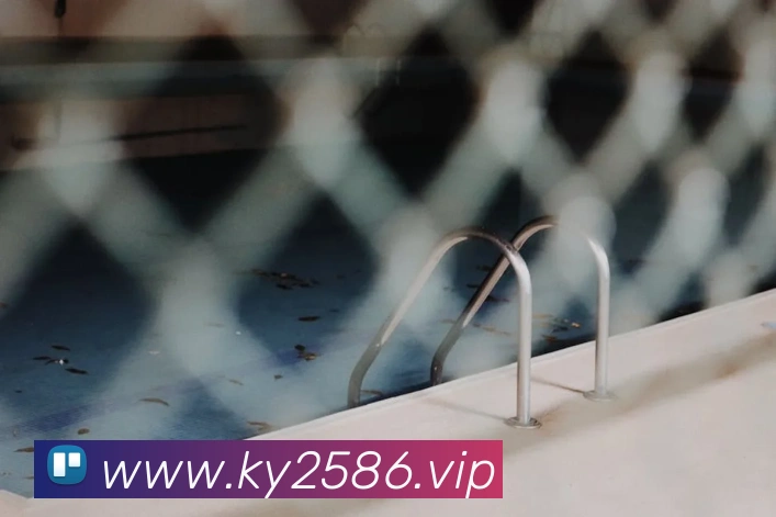App Interface Preview